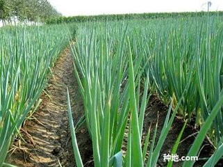 ���[��οƌWʩ�ʣ����[�ƌWʩ�ʼ��g