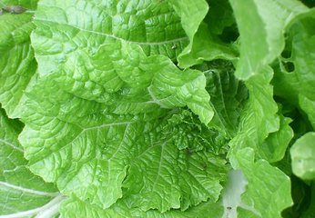 ��ײ����ʩ��⛷ʣ���ײ�ʩ��⛷ʼ��g