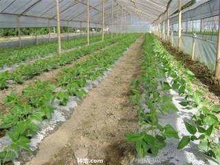 �����߲�ʩ����Ҫע��ʲô�������߲�ʩ��ע�����