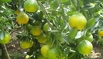 �������ʩ�ʲ��ܸ߮a(ch��n)������ʩ�ʼ��g(sh��)