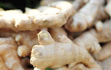 �������ʩ��΢�ʣ�����ʩ��΢�ʼ��g(sh��)