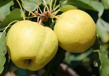 �S�������ʩ�ʣ��S�����ʩ�ʼ��g(sh��)