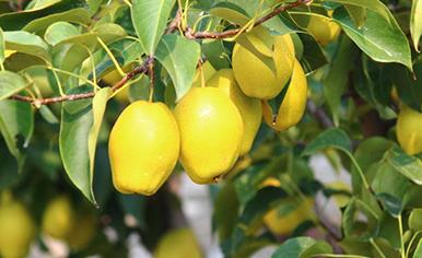 �ļ�������׷�ʣ��ļ����׷�ʼ��g