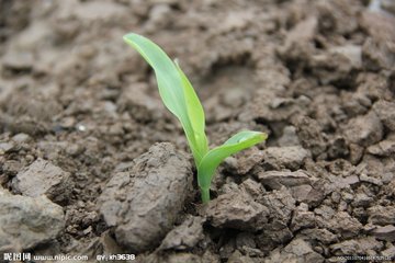 ��ʩ�׷ʿ��A�����׼t��