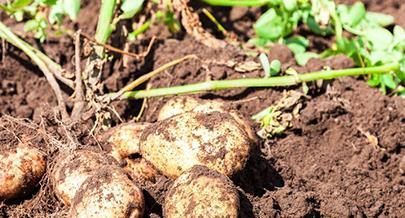 �������ʩ��⛷ʣ�����ʩ��⛷ʼ��g(sh��)