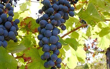 ��δ_�����ѵ�ʩ���������ѵ�ʩ����