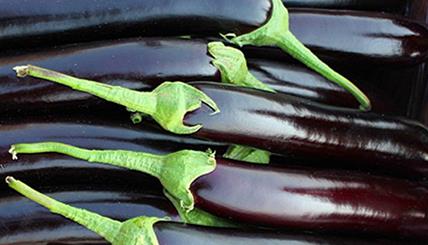 ������οƌWʩ�ʣ����ӿƌWʩ�ʼ��g