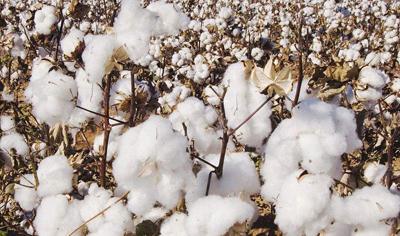 �޻����ƽ��ʩ�ʣ���Ҫʲô���g(sh��)��