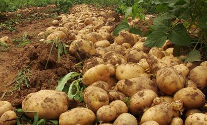 ��ô�ƌW(xu��)ʩ�ʲ��ܴ_���R����߮a(ch��n)��