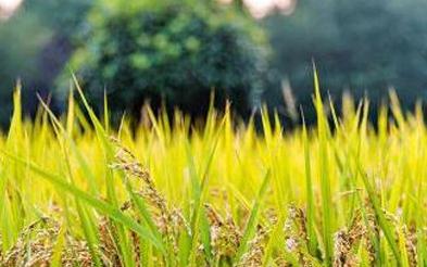 ʹ�������������ʲô��̎��