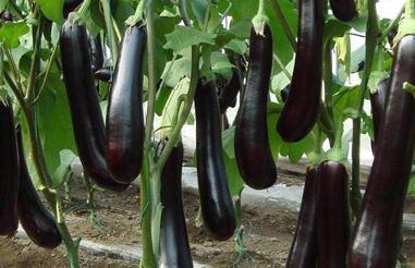 ���L���Ӳ����ڑ����r׷��