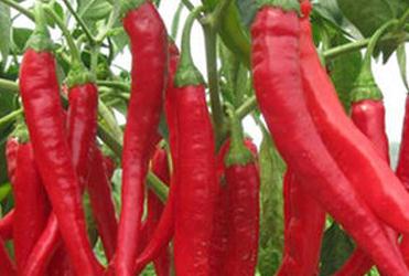 ����ʩ�ʲ��ܴ_�������߮a(ch��n)��