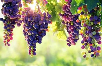 ��������׷�ʼ��g��B