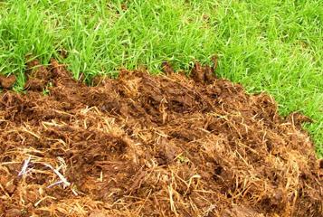 ����ɳ��r�ҷ��еĺ��x��