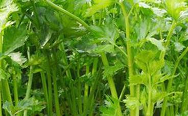 �۲�ʩ�����ص�Ҫ�c�������Щ��