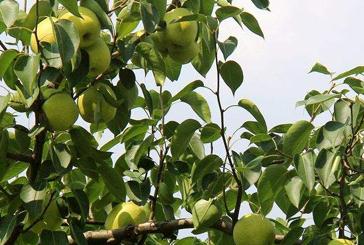 �����a΢����ע���������Щ��