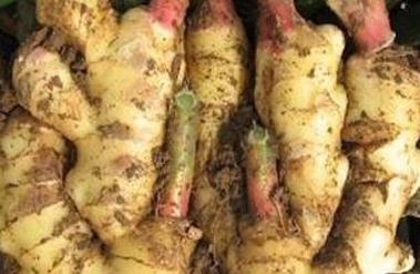 ����ʩ����ע��Ҫ�c��