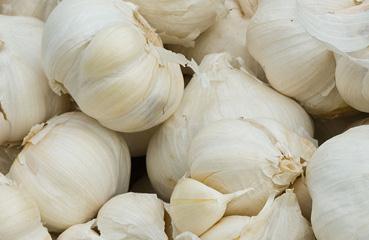 ����������ʵĿƌWʩ�÷�����