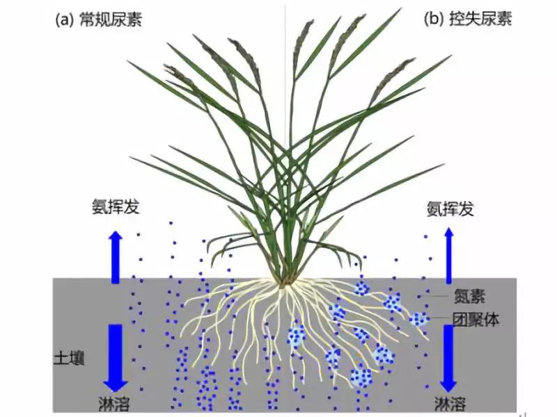 ����(d��n)��ʩ�ʲ������ﲻ�L������͛]���^��(hu��)�зʺ��᣿�������ʺ���ȫ֪�R(sh��)��