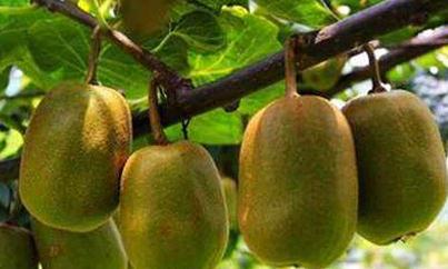 �J����ʩ����ע�����