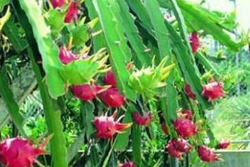 ��������ʩ��Ҫ�c��