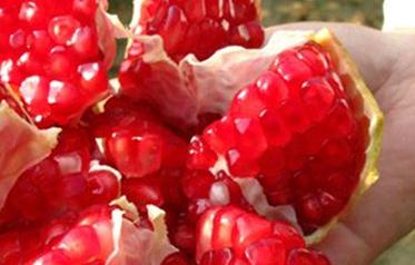 �o����ʯ��ʩ����ע���������Щ��