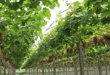 ��ʲô����״��O���˾G���ã�