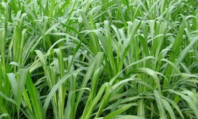 ������ôʩ���܉����a��