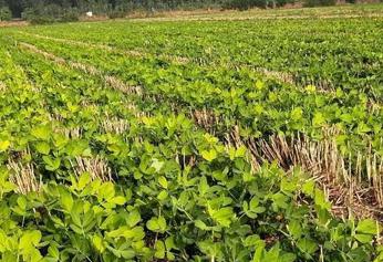 ����ȱ�F��ô�k����Q������ʲô��