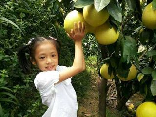 ������ôʩ�������a(ch��n)��