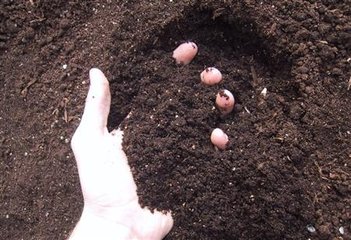 ע�⣺�r�I�����ʵ�ӛ��΢�������ֻ���@11�����ʹ�÷�����