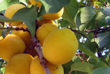 �Ә��ʩ�ʹ�ˮ�������g(sh��)����Щ��