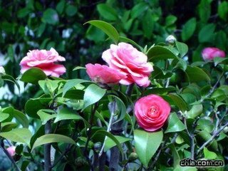 ɽ�軨��ʩ�ʼ��g(sh��)