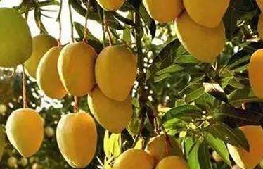 ���ӽoâ��ʩ�ʱ��߮a�أ�