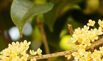 �𻨼���(ji��)��ʩ����֪Ҫ�c