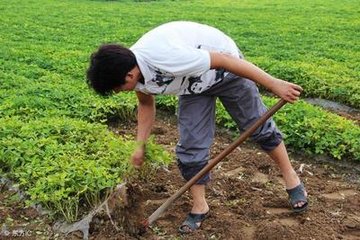 �ļ�����ʩ�ʣ��~��ʵ�ʩ�ü��g��