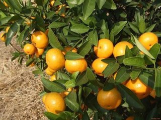 �ķN�ЙC�����m���@��