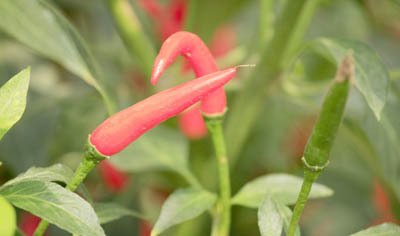 С�⽷ʩ�ʝ�ˮ����