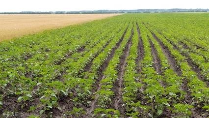 �Ĳ�����ʩʲô�ʫ@�߮a