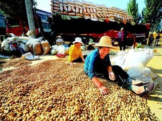 �����Nֲ�^��������A(y��)�����x�����ƌW(xu��)ʩ����