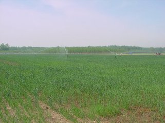 �Sˮ�_�ʃ�ȱ�c�������Y