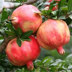 �Թ������ЙC�ʲ��û������]��ô����