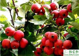 ɽ高�ʩ�ʼ��gҪ�c��B