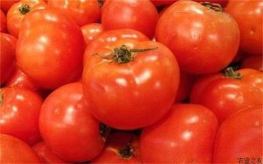 �ļ����t�����ʩ�� ���t���ļ�ʩ�ʷ���