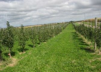 �ļ�ʩ���`�^����Щ �ļ�������_ʩ��