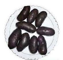 ������ʩ�ʕr�g��ʩ�ʼ��g(sh��)