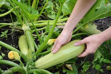 �����J��ôʩ���ܸ߮a �����J�ƌWʩ�ʷ���