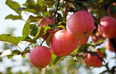 ��ʲôҪʩ�ʣ����ʩ��֮ʲô�Ƿ��ϣ�