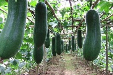 ���������a(ch��n)��ʩ�����P(gu��n)�I