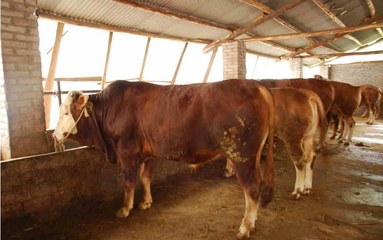 �r�ҷ�ʹ����ע��ĵط�